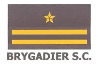 Logo Brygadier
